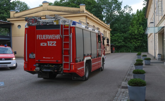 Reh bei Rettungsversuch in Wels-Lichtenegg in Mühlbach gesprungen