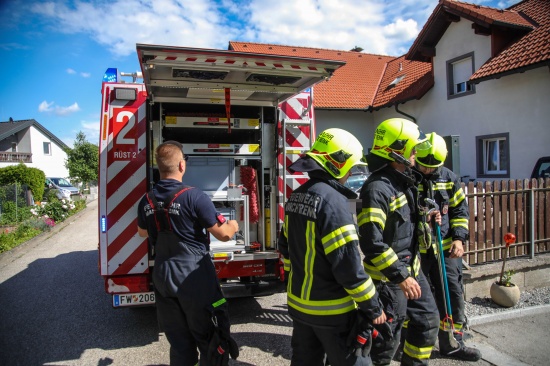 Einsatzkrfte auf vergeblicher Suche nach einer Schlange in einem Holzstapel in Marchtrenk