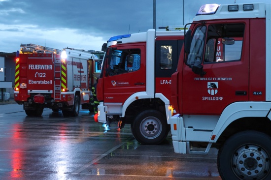 Suchaktion nach vermisster Person in einem Feld in Eberstalzell