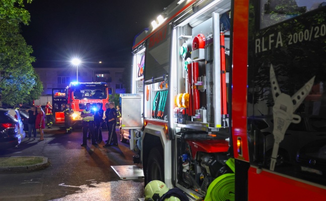 Vier Katzen evakuiert: Kchenbrand in einer Wohnung in Leonding noch rechtzeitig gelscht