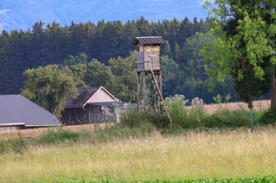 Sierning: Einsatzkrfte zu Personenrettung von einem Jgerhochstand alarmiert