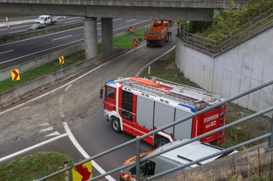 R�benernte auf Autobahn: LKW verlor Teil seiner Ladung auf Auffahrt zur Innkreisautobahn bei Wels