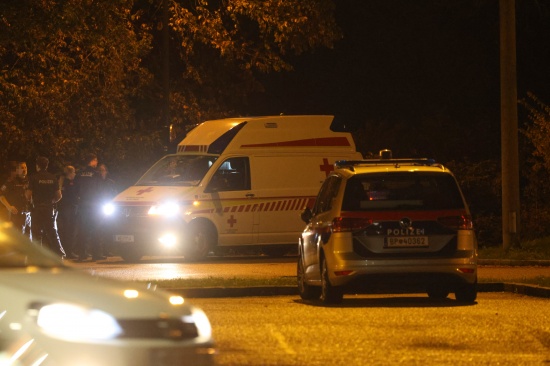 Einsatzkr�fte der Feuerwehr zu Person in Absturzgefahr in Wels-Lichtenegg alarmiert