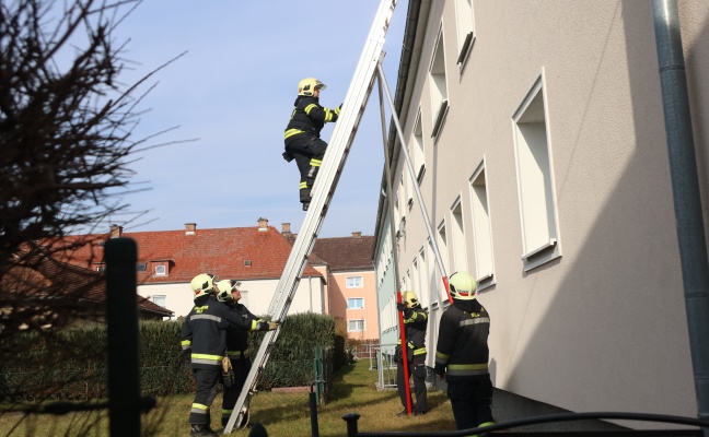 Stundenlanges Piepsen aus einer Wohnung sorgte f�r Einsatz der Feuerwehr in Wels-Vogelweide