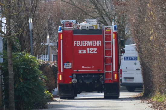 Eichh�rnchen in vermeintlicher Notlage sorgte f�r kurzen Einsatz der Feuerwehr in Wels-Lichtenegg