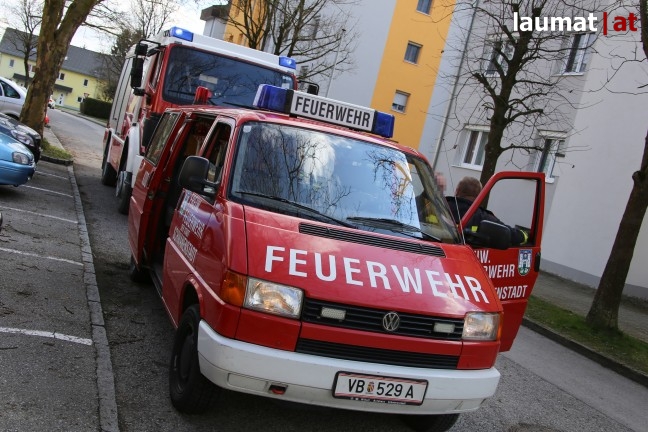 Single wohnung schwanenstadt