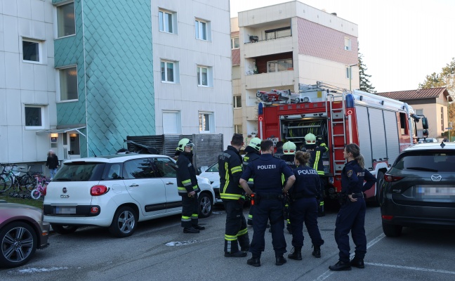 Brand von Abfallcontainern einer Mllinsel in Wels-Lichtenegg drohte auf Fassade berzugreifen