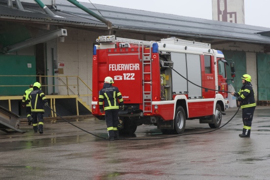Krenglbach: Feuerwehr rettet Kater "Kurt" aus schmalem Spalt im Tankraum eines Lagerhausgebudes