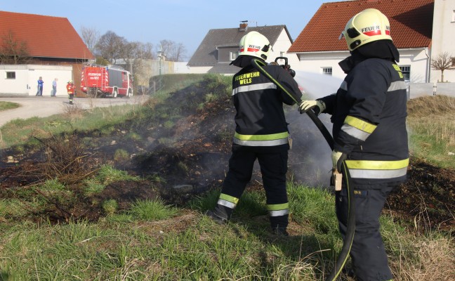 Flurbrand in Wels-Neustadt rasch abgelöscht
