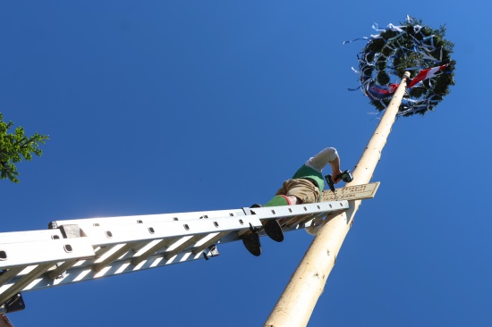FP�: Gro�es Maibaumfest mit den Menschen am Vogelweiderplatz in Wels-Vogelweide gefeiert