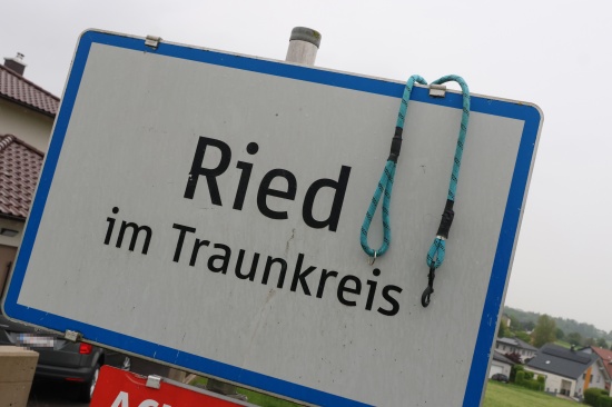 Giftkder ausgelegt: Hund nach Spaziergang in Ried im Traunkreis beinahe an Vergiftung gestorben