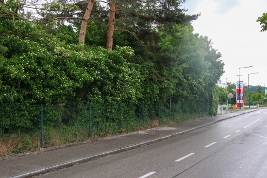 Ast beseitigt: Einsatzkrfte der Feuerwehr zu Sturmschaden nach Wels-Pernau alarmiert