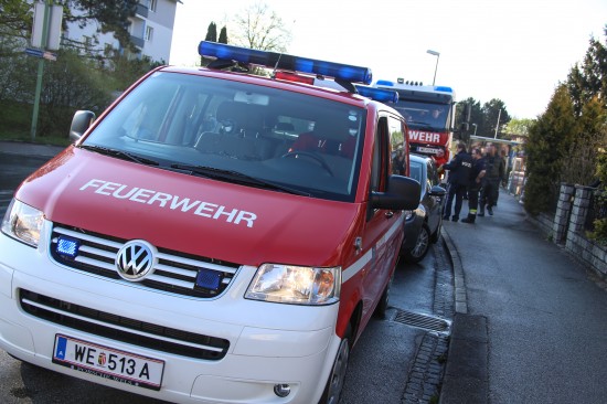 Grillen eines Spanferkels lste Feuerwehreinsatz aus