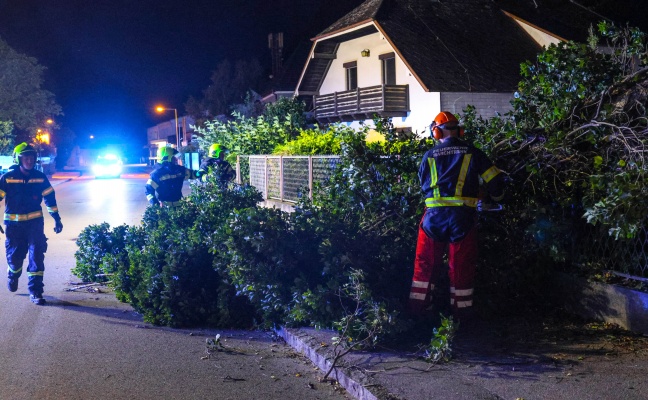 Auslufer einer Gewitterlinie sorgten fr einzelne Sturmeinstze in Obersterreich