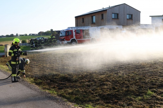Flurbrand: Brand einer Wiese in einer Siedlung in Sipbachzell rasch gelscht
