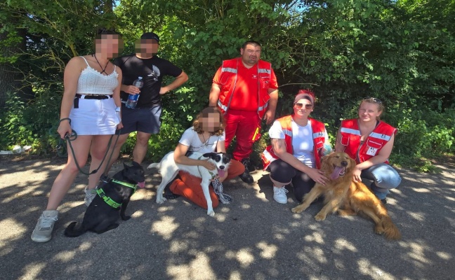 Elf Tage abgngig: Hndin "Cura" nach intensivem Sucheinsatz in Rstorf soweit wohlauf gefunden