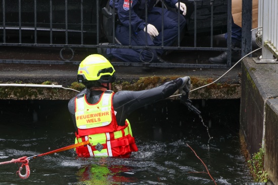Wels-Innenstadt: Einsatz eines Flie�wasserretters bei Sicherstellung einer Waffe im Welser M�hlbach