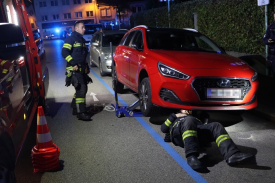 K�tzchen narrte Einsatzkr�fte: Samtpfote versteckte sich im Motorraum von gleich drei Fahrzeugen