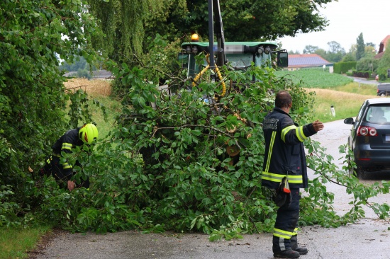 Steinhaus: Sturmb�en bei kurzem Gewitter sorgten f�r mehrere Eins�tze der Feuerwehr