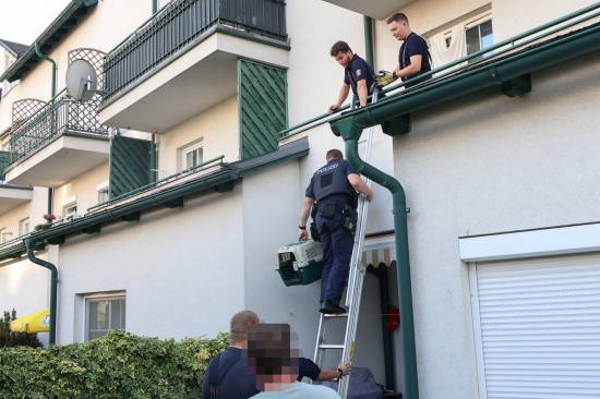 Katze durch Feuerwehr und Polizei von Balkon einer Wohnanlage in Wels-Neustadt gerettet