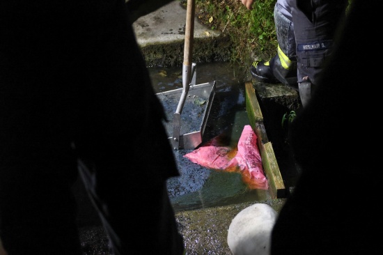 Umfangreicher Bindeeinsatz nach Dieselaustritt in einem kleinen Bachlauf in Pichl bei Wels