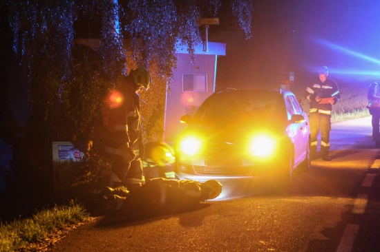 Wildunfall f�hrte zu neuerlichem Einsatz einer Feuerwehr in Steinhaus