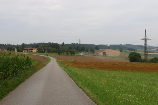 Einsatzkr�fte der Feuerwehr zu Feldbrand nach Pennewang alarmiert