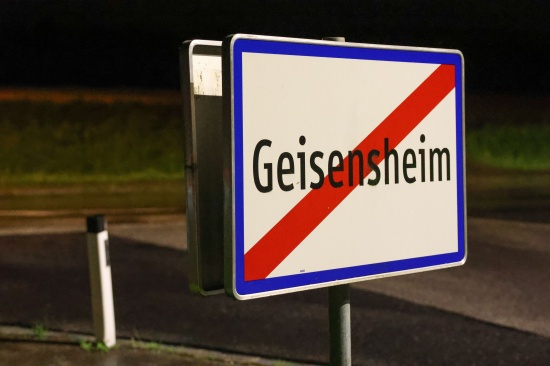 Pichl bei Wels: Feuerwehrleute erblickten w�hrend Sitzung zwei entlaufene K�lber auf Wiese gegen�ber