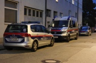 Einsatzkr�fte zu Personenrettung bei Geb�ude in Wels-Neustadt alarmiert