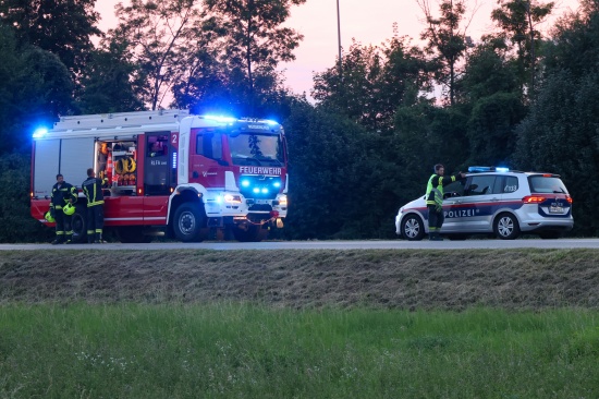 Feuerwehr zu vermeintlichem Feldbrand nach Wei�kirchen an der Traun alarmiert