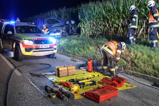 Crash gegen Baum: Verunfalltes Auto landet bei Verkehrsunfall in Buchkirchen im Maisfeld