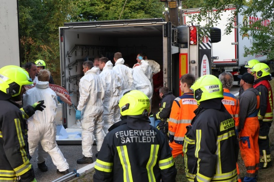 Steinerkirchen an der Traun: Mit Fleisch beladener LKW-Anh�nger in Kurvenbereich umgest�rzt