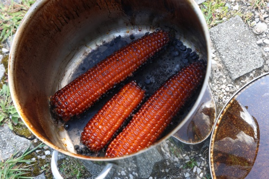 Niemand zu Hause: Topf mit rauchendem Kochgut in Wels-Lichtenegg durch Feuerwehr ins Freie gebracht