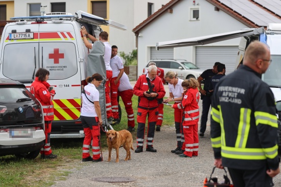 Mehrere Such- und Rettungshunde, Feuerwehren und Polizei bei Suchaktion in Ansfelden im Einsatz