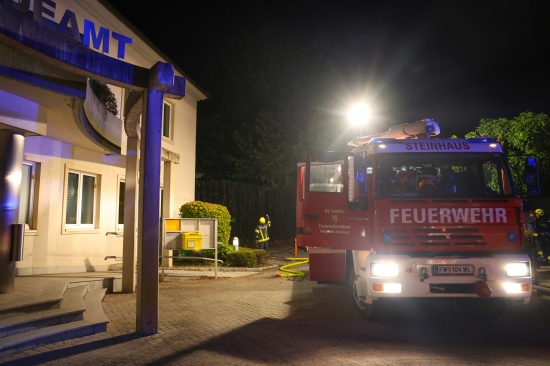 Polizei ermittelt: Einsatz zweier Feuerwehren bei Heckenbrand im Ortszentrum von Steinhaus