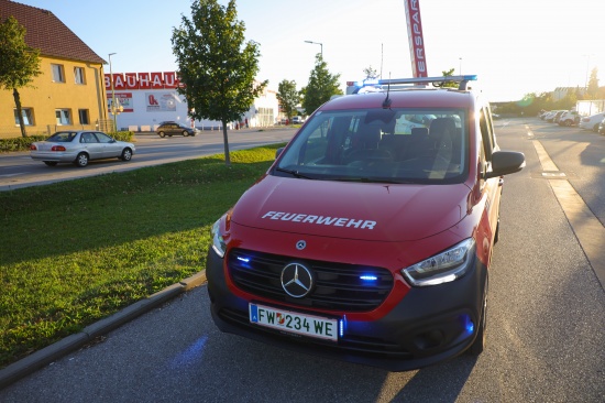 Einsatzkr�fte der Feuerwehr bei Suche nach einer kleinen Schlange in Wels-Neustadt im Einsatz