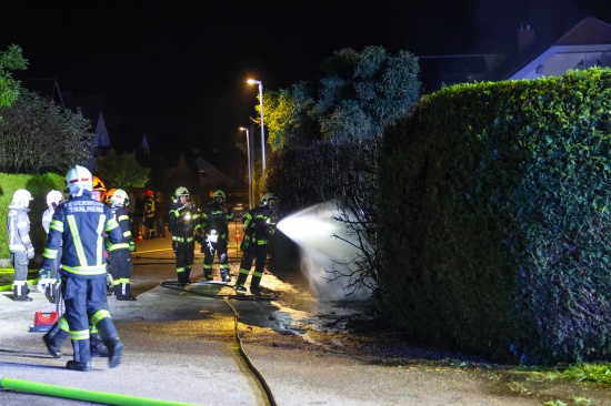 Brand einer Thujenhecke sorgte f�r Einsatz der Feuerwehr und der Polizei in Thalheim bei Wels