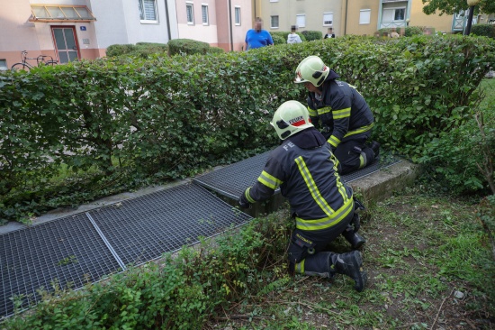 Abgest�rzter Lichtschachtrost in einer Wohnanlage in Wels-Neustadt durch Feuerwehr geborgen