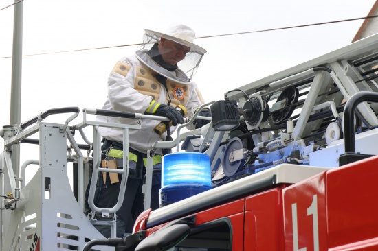 Hornissennest: Verstopfter Kamin sorgt f�r verrauchtes Wohnhaus in Wels-Pernau