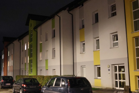 Zwei Katzen bei Brand in einer Mehrparteienhauswohnung in V�cklabruck umgekommen