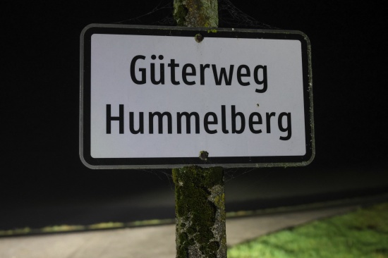 T�dlicher Sturz: Frau (64) in Steinerkirchen an der Traun von Hund umgerannt