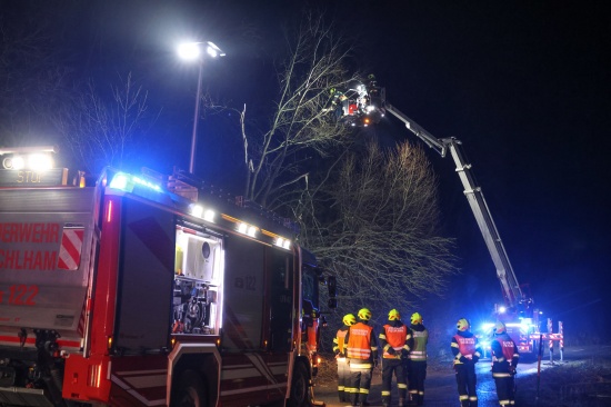 Baum umgest�rzt: Feuerwehr mit Teleskopmastb�hne in Steinerkirchen an der Traun im Einsatz