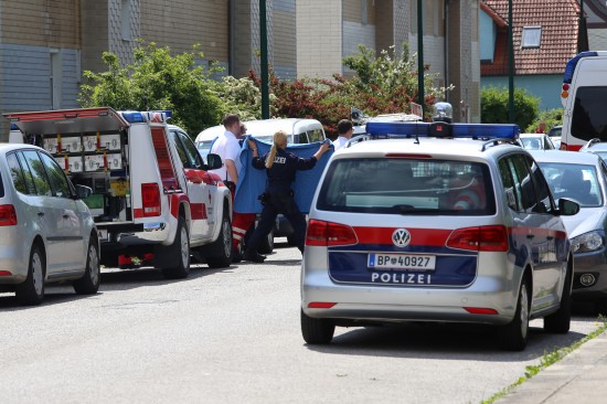 Polizei-Sondereinheit Cobra in Wels-Neustadt im Einsatz