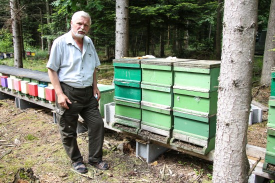 Bienenvölker in Aistersheim vermutlich vergiftet