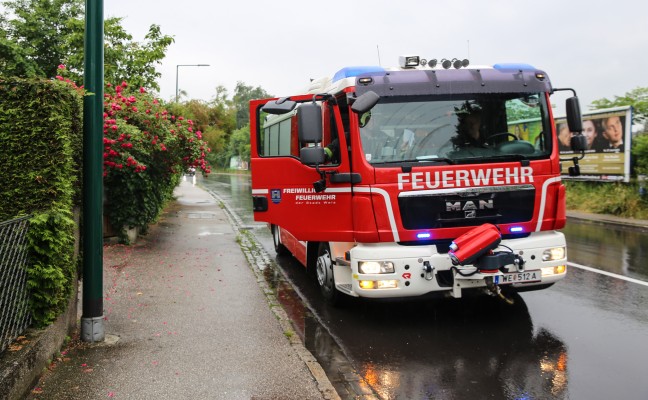 Tierischer Einsatz fr die Feuerwehr in Wels-Pernau