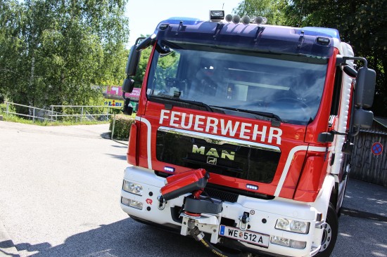 Feuerwehr bei Flurbrand in Wels-Neustadt im Einsatz