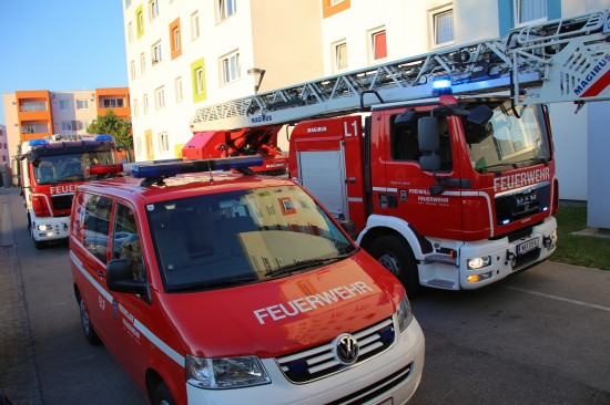 Brandverdacht durch angebranntes Kochgut sorgte für Feuerwehreinsatz