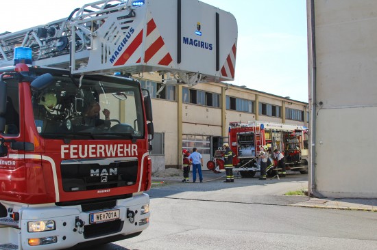 Brand in einer Absauganlage eines Industriebetriebes in Wels-Neustadt
