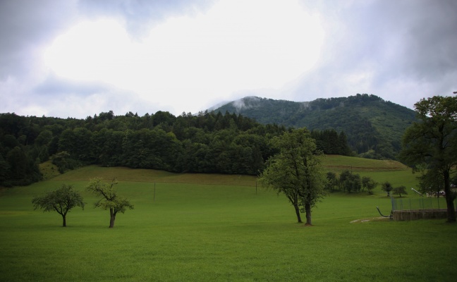 60-jähriger Jäger bei Gewitter in Molln von Blitz getötet