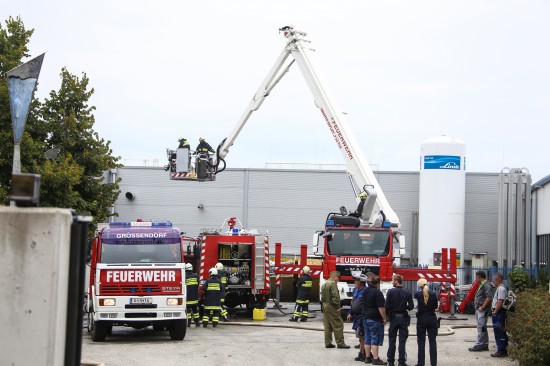 Sechs Feuerwehren bei Brand in einem Unternehmen im Einsatz